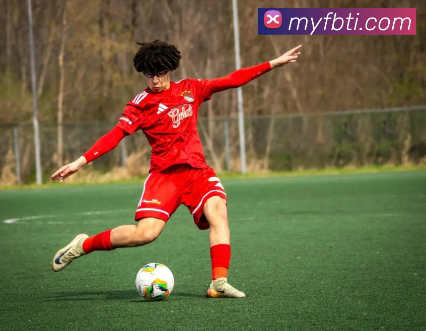 开云网页登陆入口服务体系
